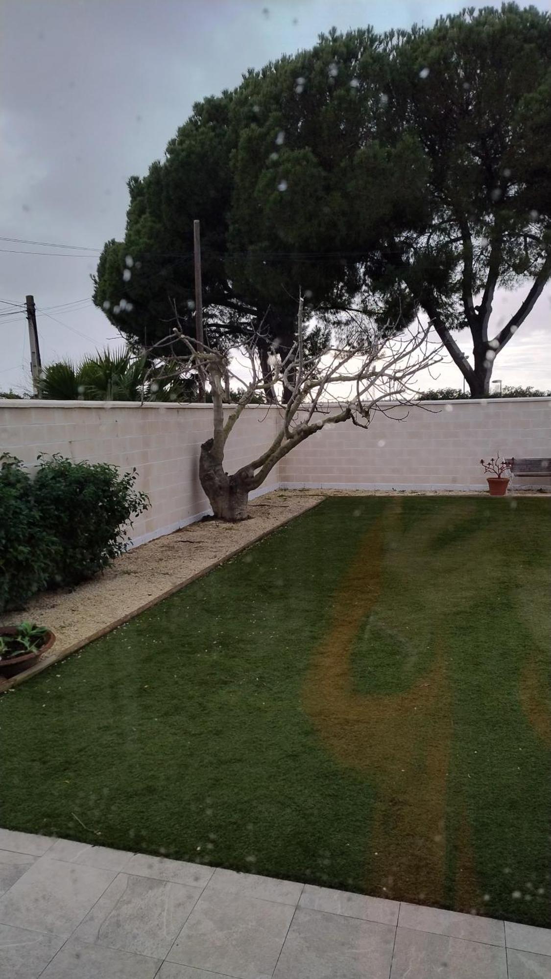 Casa Oliva 52 Lägenhet Sevilla Exteriör bild